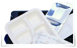 Únete a la fiesta de los plásticos en el Salón de la Fama