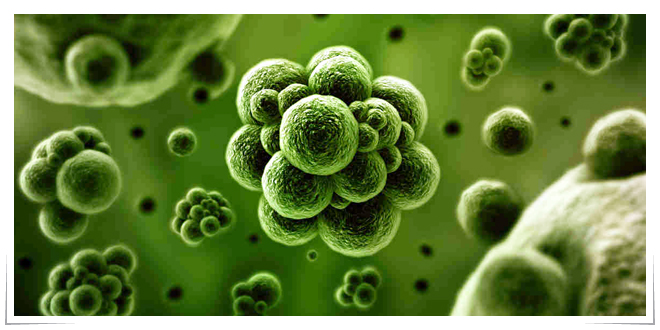 Protección antimicrobiana en termoplástico
