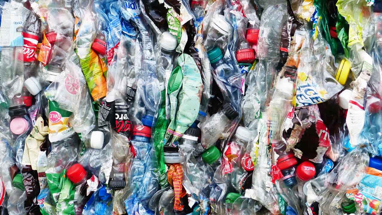 Tasa de reciclaje en México es del 9.6%