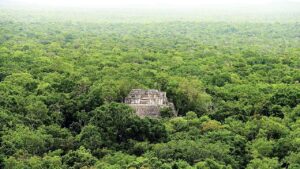 La gran apuesta del Tren Maya