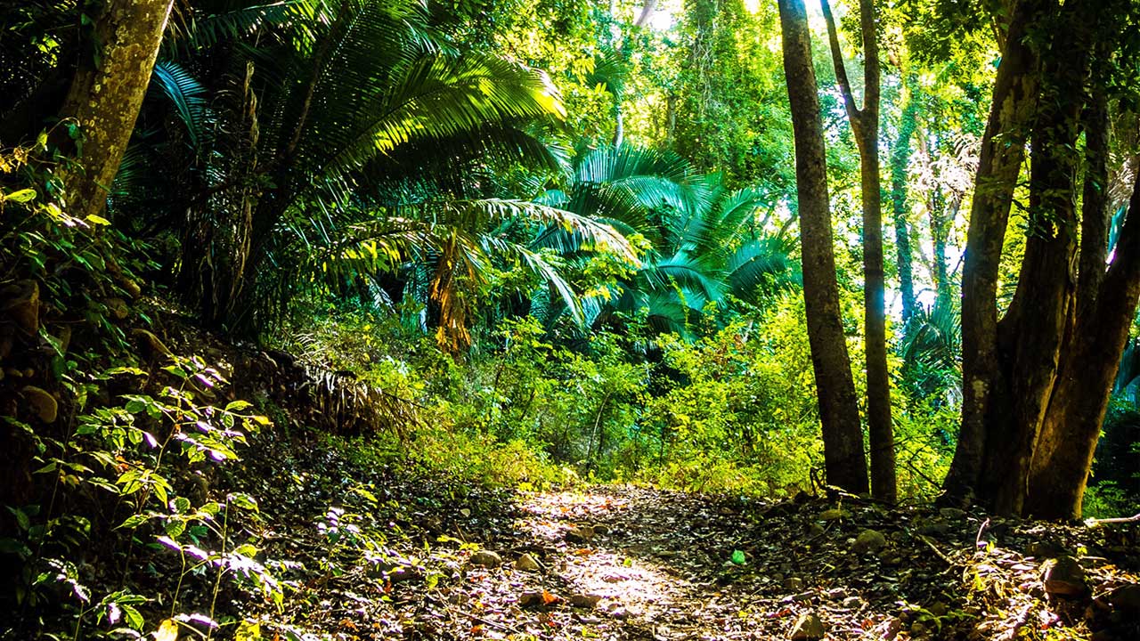 El mundo se vuelve circular: temporada de reparaciones