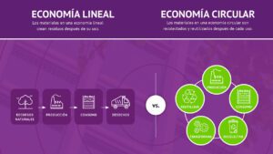 4 formas de disminuir la basura durante las fiestas patrias