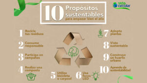 10 propósitos sustentables con los que puedes iniciar el 2022