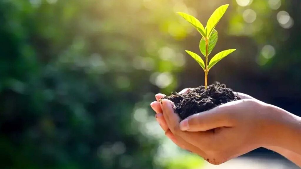 NESTLÉ Argentina logra el 100% de neutralidad en plásticos