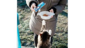 Mejoran condiciones de higiene en sistemas de alimentación para mascotas