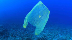 Hay menos contaminación plástica en los océanos de lo que se estimaba: estudio
