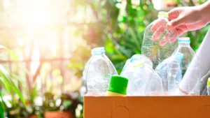 «Plásticos vivos»: el material biodegradable que se descompone con la ayuda de bacterias