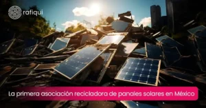 Rafiqui: la primera recicladora de paneles solares en México