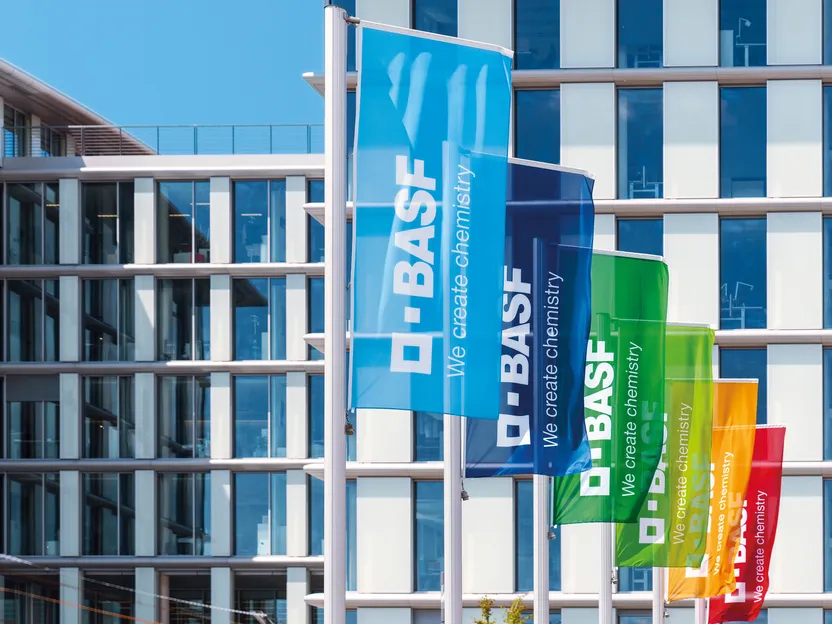 BASF vende el negocio Styrodur® a BACHL