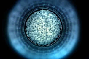 Saco Polymers expande su presencia en México ante la creciente demanda de compuestos especiales