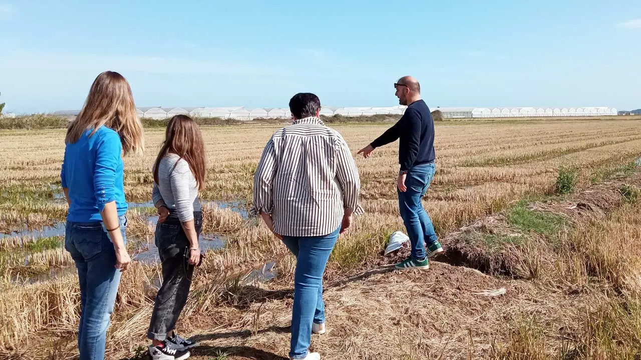 GO STRAWMAT: innovación sostenible para valorizar la paja del arroz en la construcción