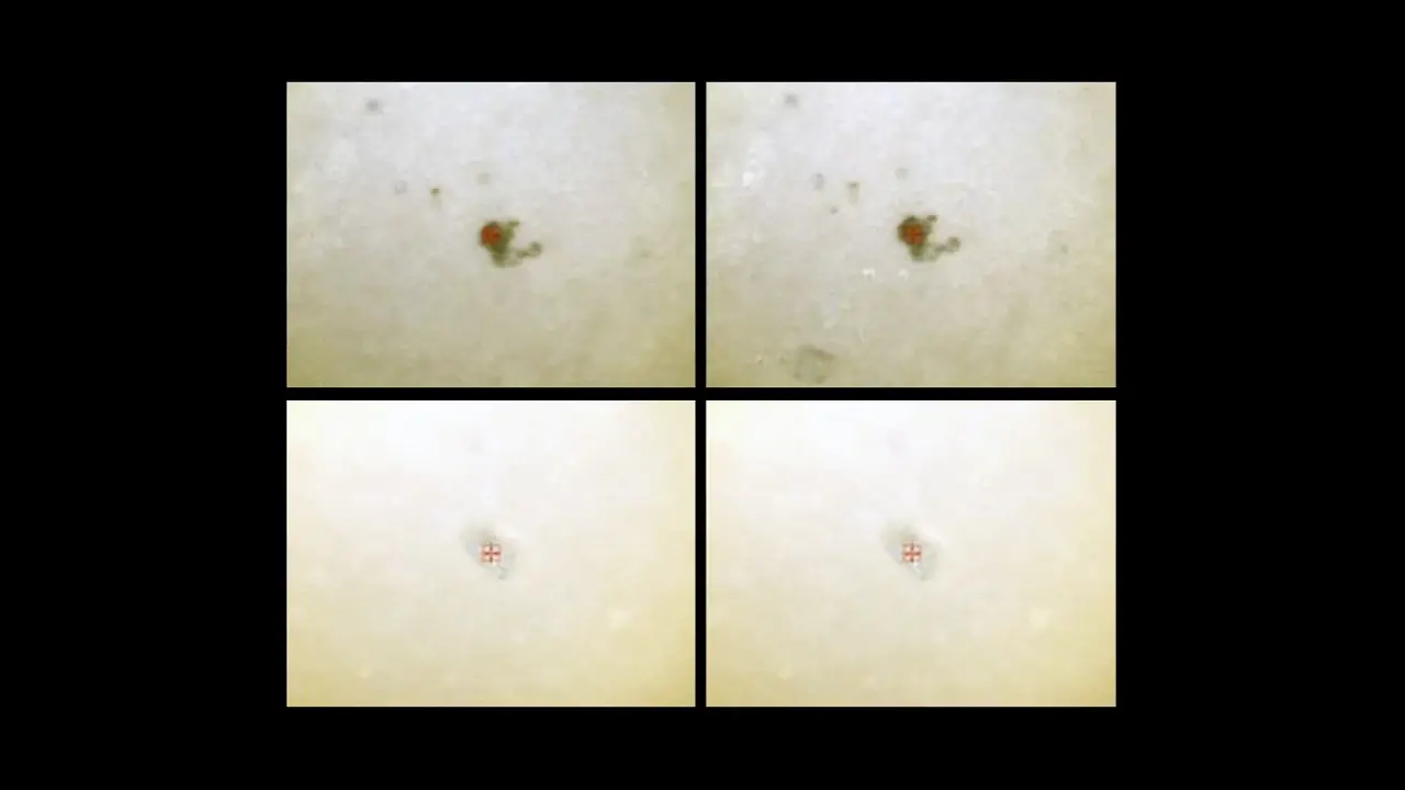 ¿En verdad tenemos una cuchara de microplásticos? Expertos advierten sobre errores en estudio reciente