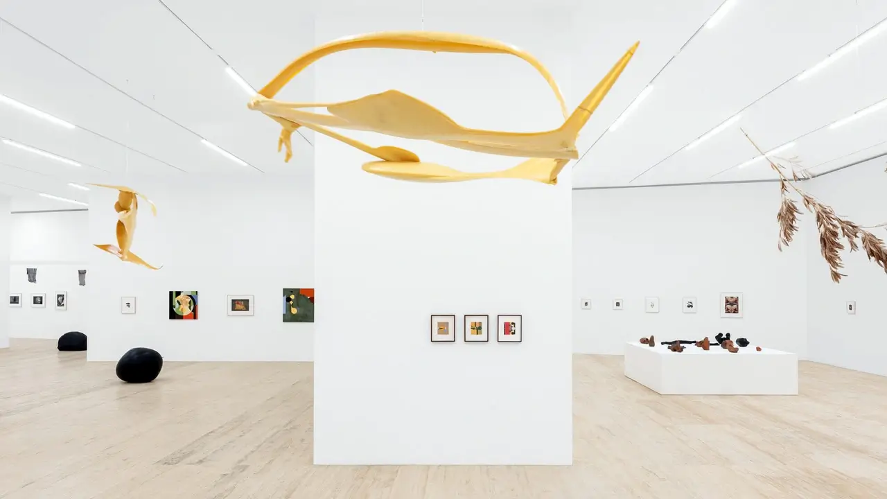 Arte con muchos guiños: “Gabriel Orozco: Politécnico Nacional”