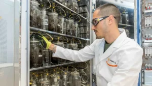 Bioplásticos del futuro: 3 proyectos en seguridad, microplásticos y ciclo de vida