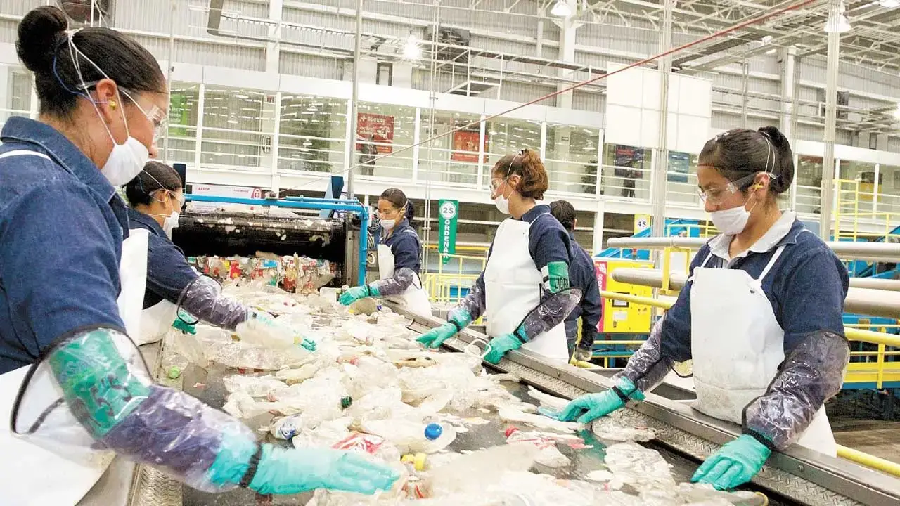 Mecánico, químico, primario o secundario ¿cuántos tipos de reciclaje existen y cómo se clasifican ♻️