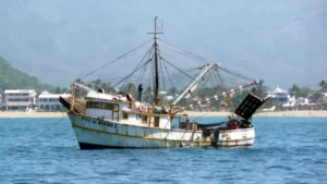 Limpio, verde y sustentable: convierten plásticos marinos en biodiésel para barcos pesqueros