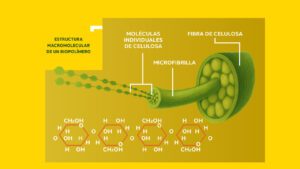 Biopolímeros, bioplásticos y biobasados: definición, propiedades y aplicaciones