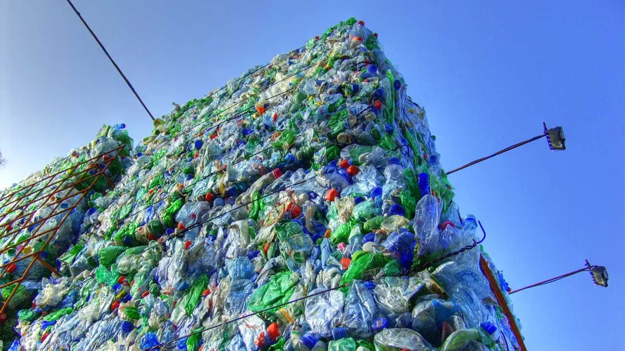 Basura, residuos y desechos no son lo mismo: ¿Por qué es clave diferenciarlos?