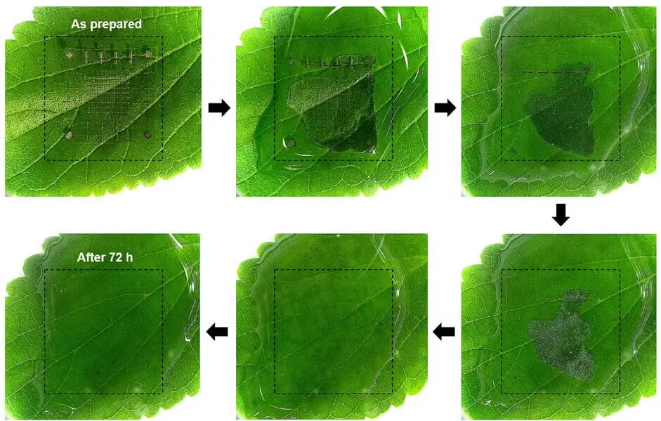 Una memoria orgánica biodegradable promete reducir los residuos electrónicos