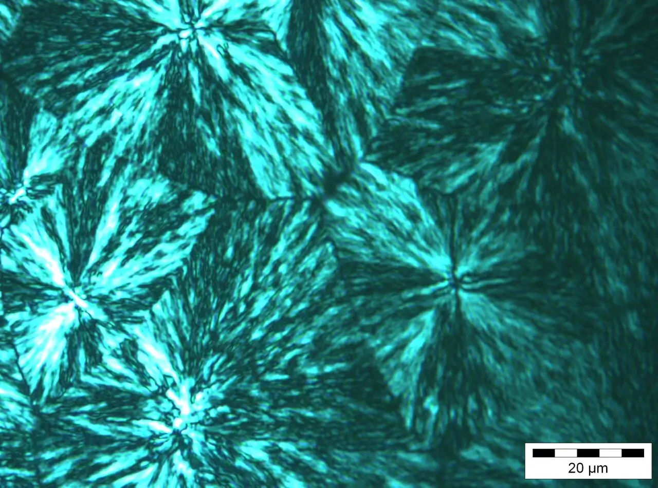 Imagen de Microscopía Óptica con polarizadores cruzados de esferulitas de un Poli(urea)uretano con segmento flexible cristalino.