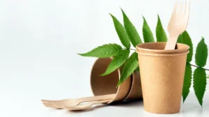 3 razones por las que los empaques ecológicos están ganando terreno ♻️