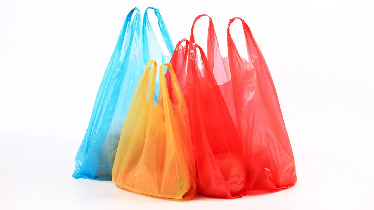 Convierten bolsas de plástico en fertilizante orgánico con ayuda de bacterias y lombrices