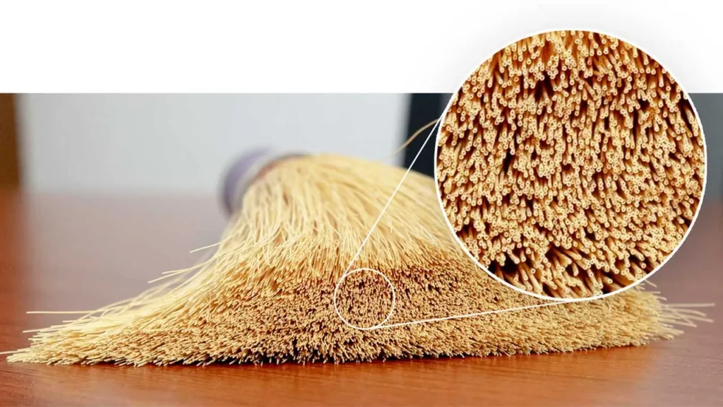 SEPURAN® Green G5X 11: La respuesta de Evonik para cumplir objetivos de descarbonización