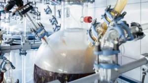 Aureobasidium pullulans: el hongo negro que puede transformar plásticos en ingredientes comestibles