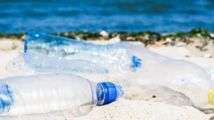 Prevented Ocean Plastic lanza cadena circular de reciclaje de Polipropileno (PP) apto para uso alimentario