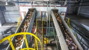 Enzimas que aceleran la biodegradación: Una nueva era para los plásticos compostables