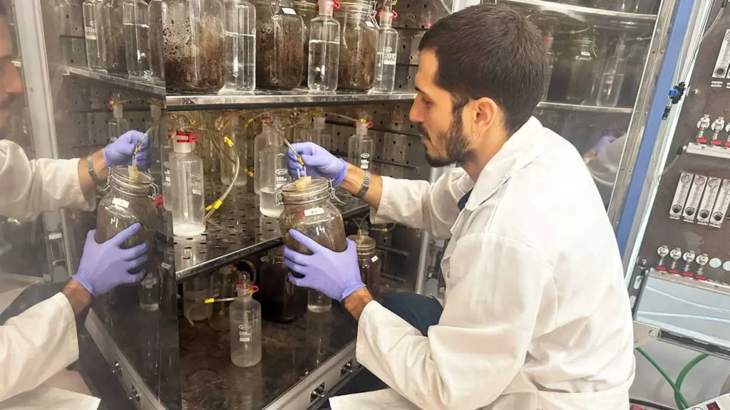 Microrganismos y virus podrían ser la clave para acelerar la biodegradación de bioplásticos