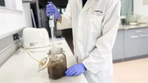 Microrganismos y virus podrían ser la clave para acelerar la biodegradación de bioplásticos