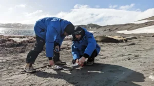5 formas en que la tecnología nuclear puede reducir la contaminación por residuos