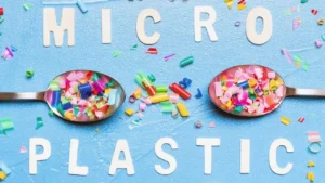 Microplásticos en el cuerpo humano: científicos cuestionan estudios recientes y piden mayor rigor metodológico