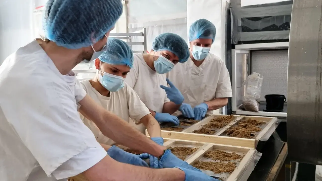 Permafungi: ¿el futuro sostenible del envase?