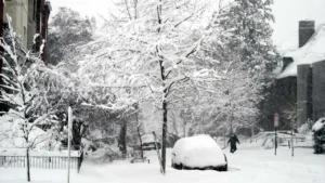 Una nueva batería polimérica desarrollada en Texas conserva el 55 % de su capacidad incluso a -40 °C