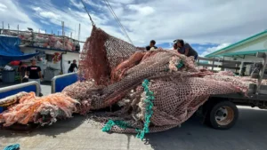 Center for Marine Debris Research
