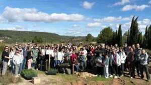 AIMPLAS reduce 40% su huella de carbono y avanza en eficiencia energética