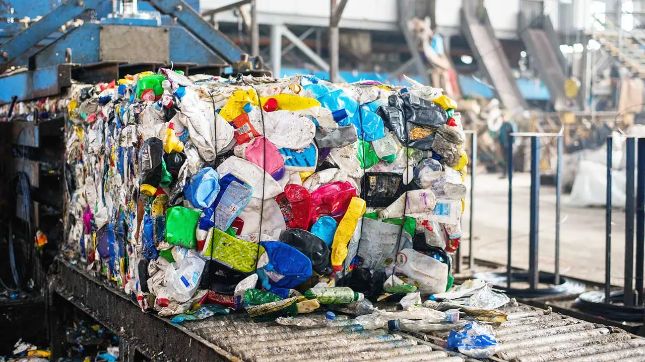 Economía circular en acción: biosecado y biomasa, claves para transformar los residuos en energía
