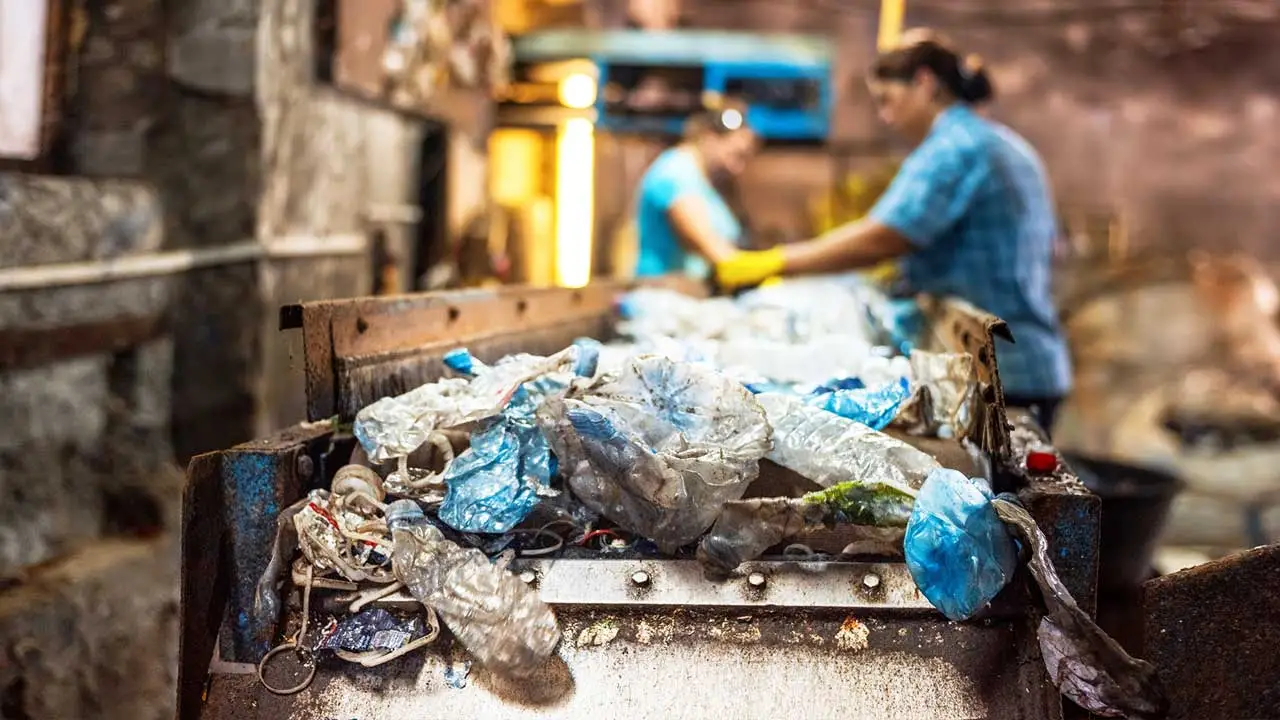 Economía circular en acción: biosecado y biomasa, claves para transformar los residuos en energía