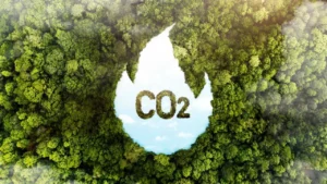 ¿Qué son los plásticos hechos a partir de emisiones de carbono y cómo podrían cambiar la industria del envase?