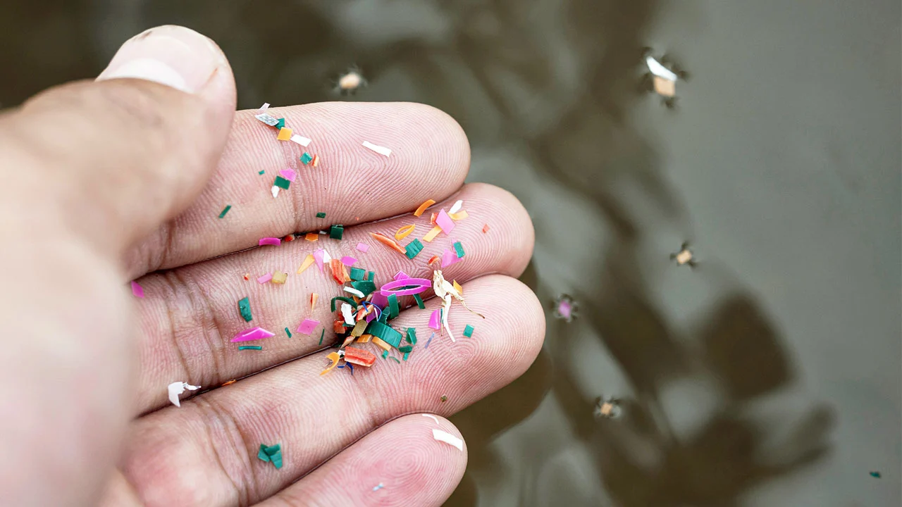 Micro y nanoplásticos: entender el reto para transformar la industria