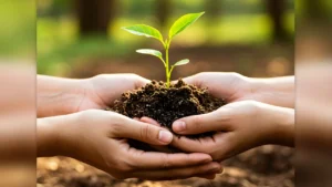 Día de la Tierra 2026: 5 claves para la descarbonización automotriz en México