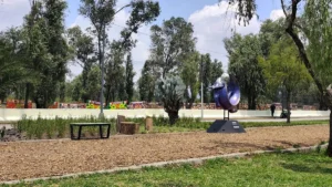 Bancas de plástico reciclado renovarán embarcaderos de Xochimilco en el Mundial 2026