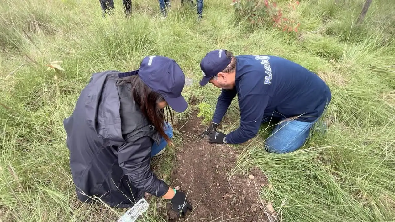 ANIPAC impulsa la reforestación en la Sierra de Guadalupe con la plantación de 250 árboles