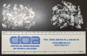 Microplásticos bajo la lupa: mitos, ciencia y evidencia
