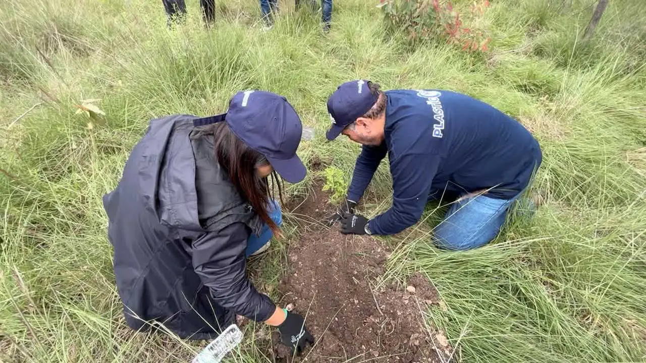 ANIPAC impulsa la reforestación en la Sierra de Guadalupe con la plantación de 250 árboles