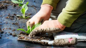 Cuatro innovaciones que están redefiniendo el futuro del plástico