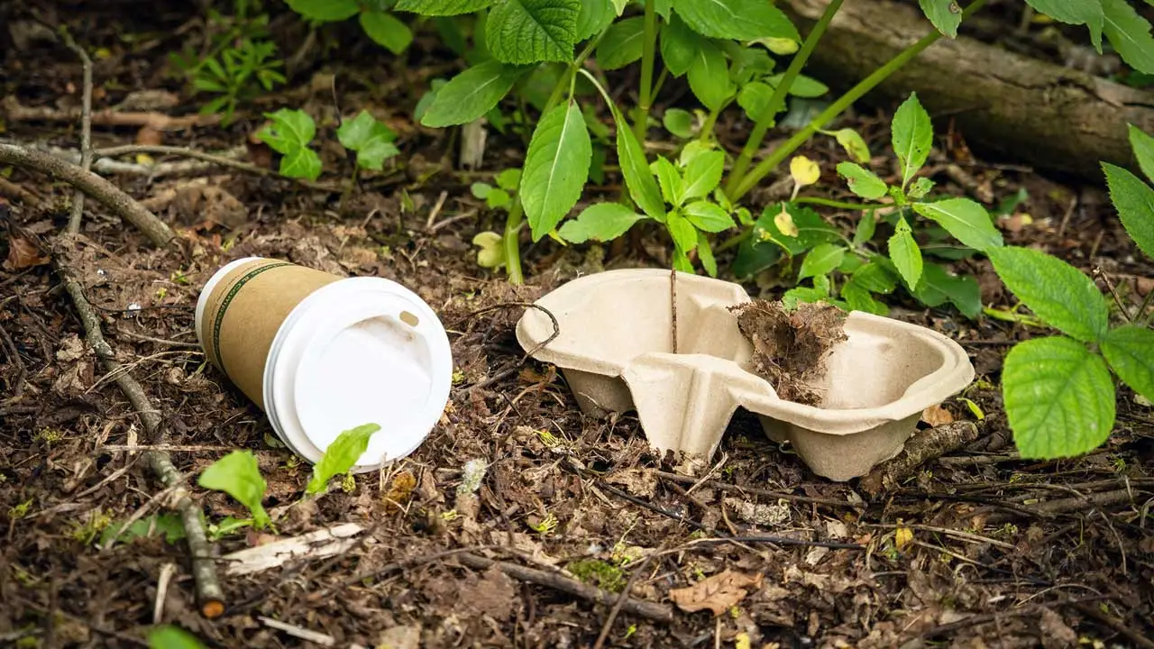 Muestras de polietileno y polipropileno tratadas con un aditivo biodegradable