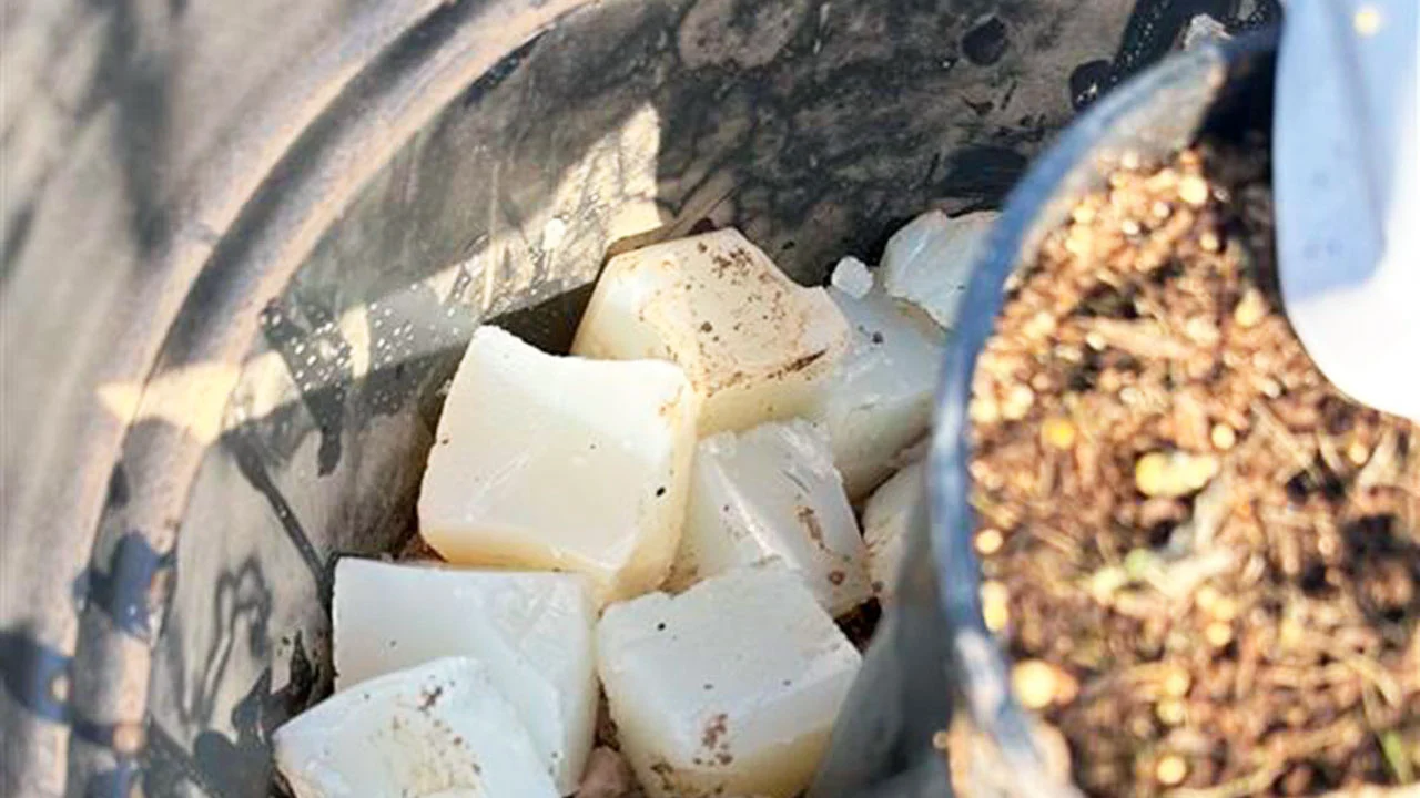 AIMPLAS desarrolla agua sólida biodegradable para ahorrar riego